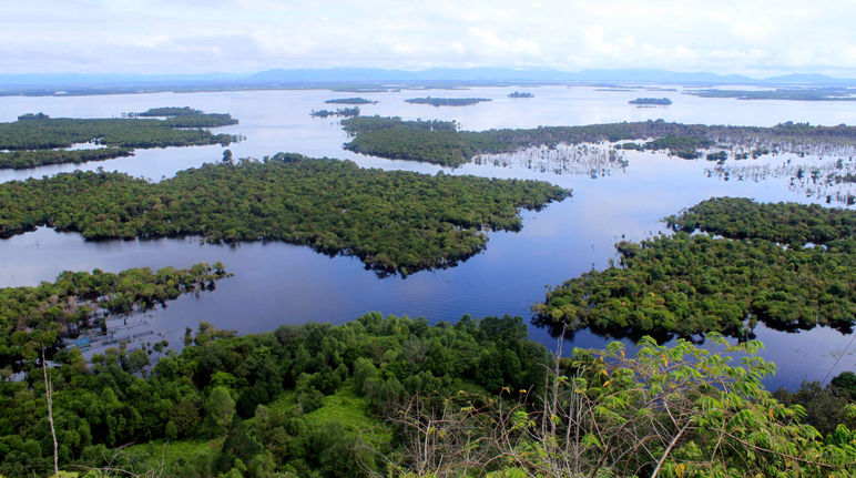 Kalimantan occidental