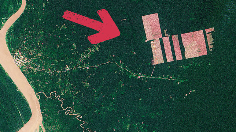 Image satellite attestant la déforestation près de Tamshiaycu au Pérou
