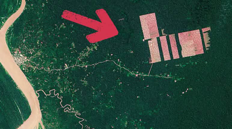 Les parcelles forestières concernées sont situées entre le village de Tamshiyacu (à gauche) et les zones déboisées indiquées par la flèche rouge(à droite) Image satellite attestant la déforestation près de Tamshiaycu au Pérou
