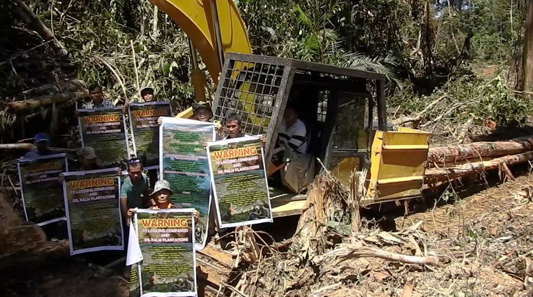 Défrichements préparatifs à la culture d’huile de palme dans l’état du Sarawak en Malaisie