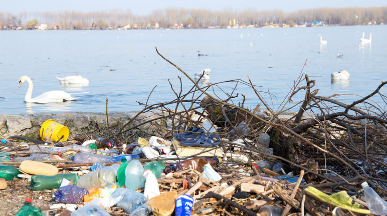 Déchets en plastique au bord du Danube