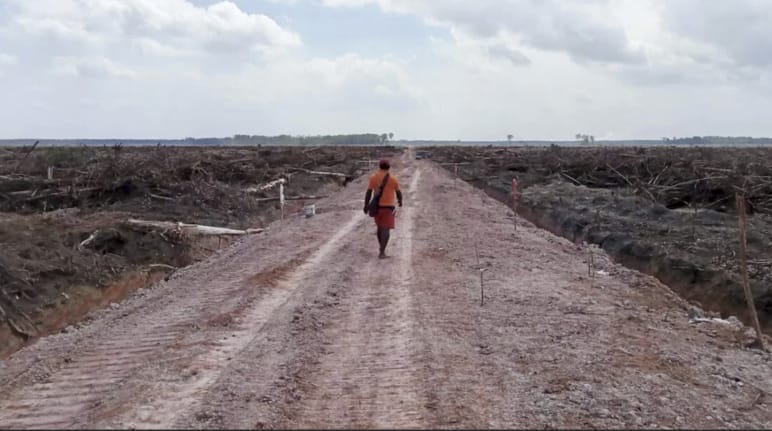 un homme marche au milieu d’une zone défrichée