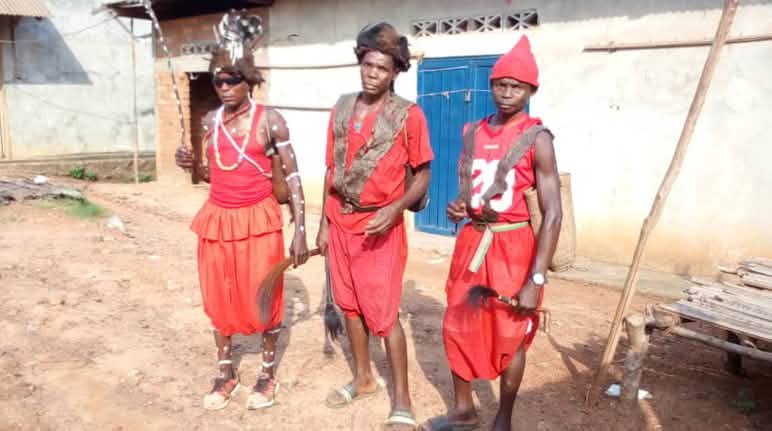 Les habitants de plus de 100 villages sont affectés par les plantations de palmiers à huile de l’entreprise PHC Chefs traditionels à Lokutu