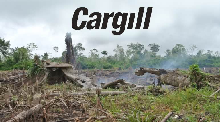Des forêts sont incendiées en Amérique du Sud pour laisser place à l’agriculture industrielle Défrichement par brûlis + Logo Cargill