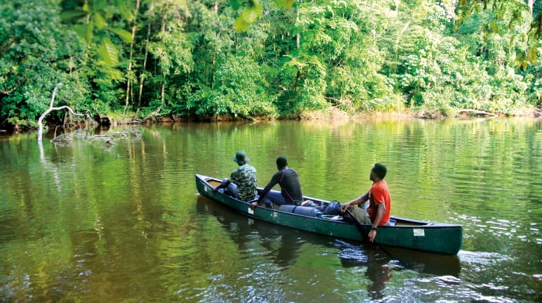 Rivière à l’intérieur du parc national de Sapo