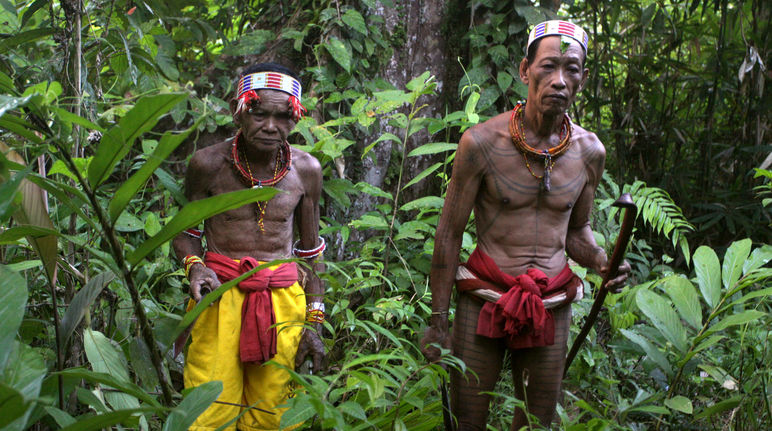 Deux hommes-fleurs au milieu de leur forêt sur l’île de Siberut en Indonésie