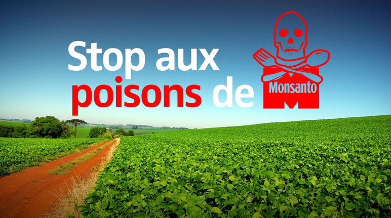 Vue sur un champ de soja transgénique barré par le texte « Stop aux poisons de MONSANTO »