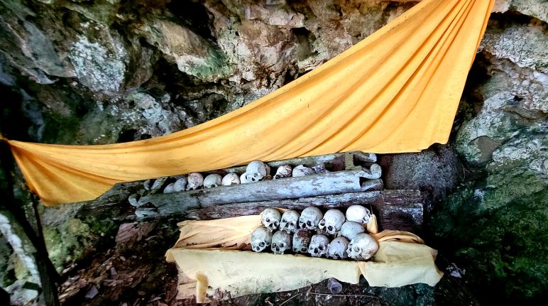 Les ancêtres ont créé le lien avec la forêt Crâne des ancêtres dans une grotte