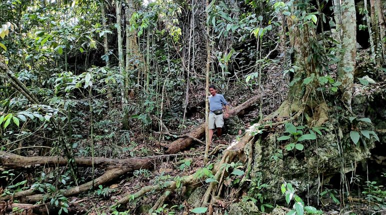 Surveiller, garder, respecter : tel est le rapport des autochtones à la forêt Homme dans la forêt