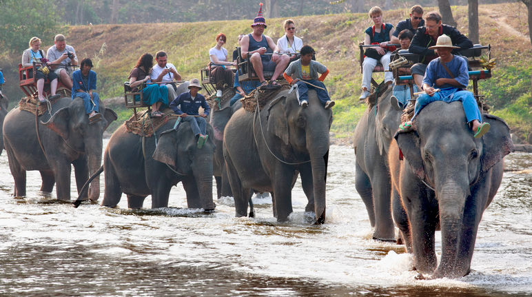 Groupe de touristes en train de faire une promenade à dos d'éléphant en Thailande