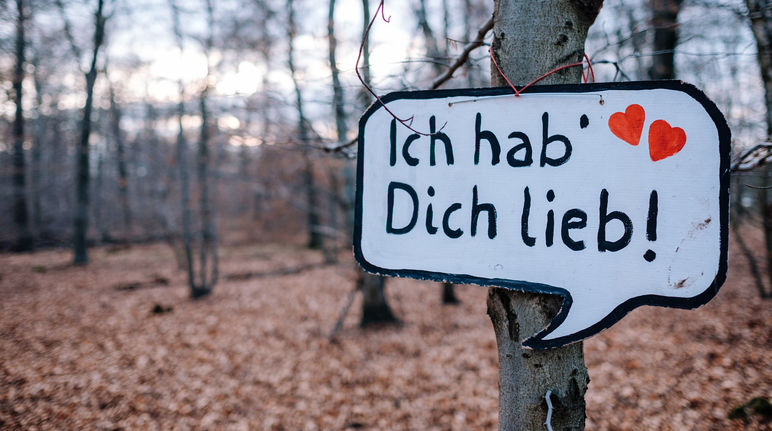 Vue sur la forêt de Trebur près de l'aéroport de Francfort. Une pancarte accrochée à un arbre indique le message "Je t'aime" en allemand