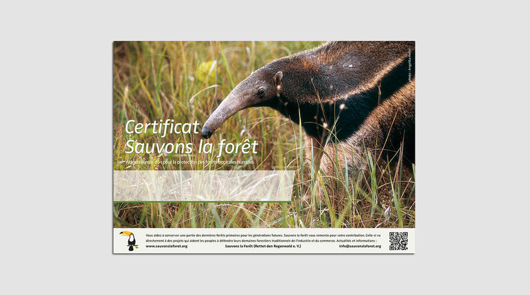 Certificat Sauvons la forêt avec l’image d’un tamanoir dans la savane du Cerrado au Brésil