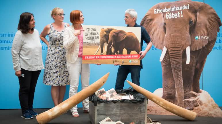 Remise de la pétition au ministère de l’environnement à Berlin Remise de la pétition contre le commerce de l’ivoire au ministère de l’environnement de la République fédérale d’Allemagne