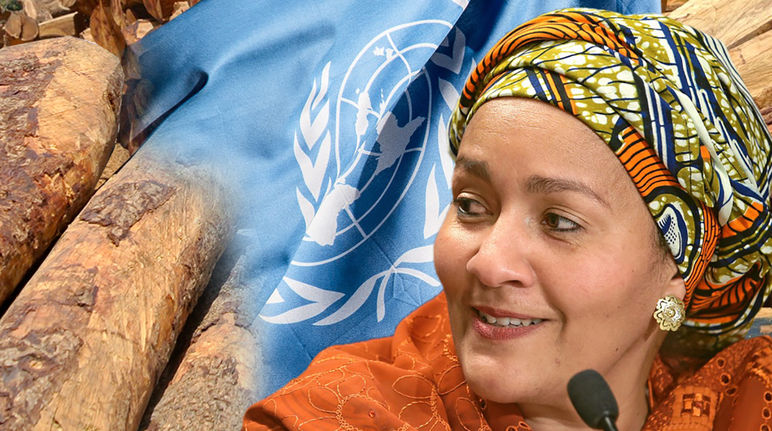 Mme Amina J. Mohammed, vice-secrétaire générale de l'ONU devant de grume de palissandre et le drapeau des Nations-unies