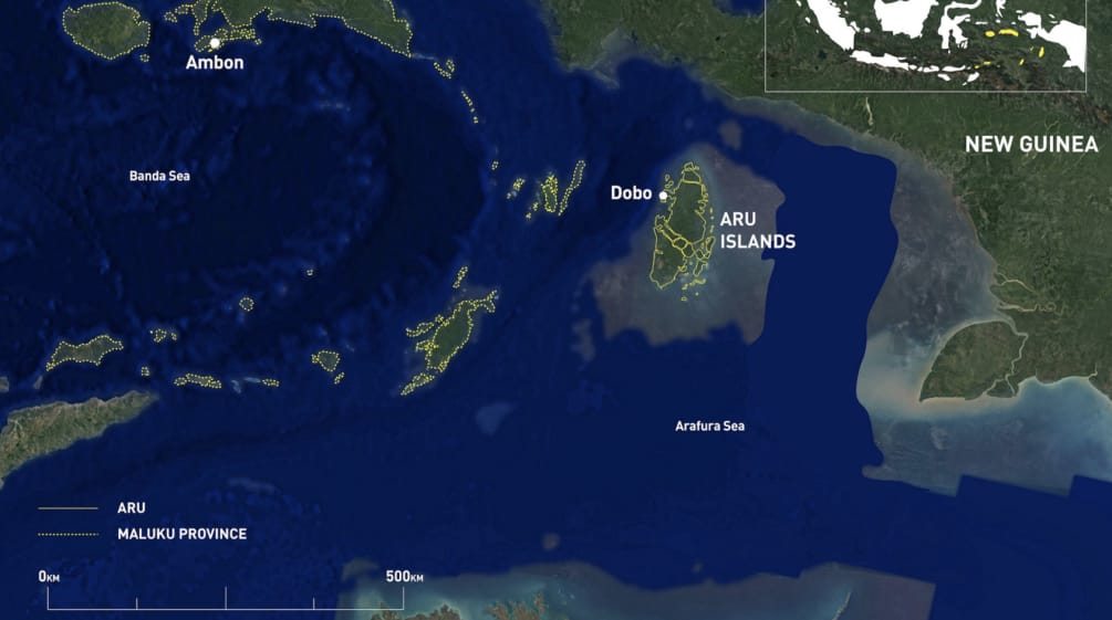 Carte satellite Nouvelle-Guinée - Îles Aru - Australie