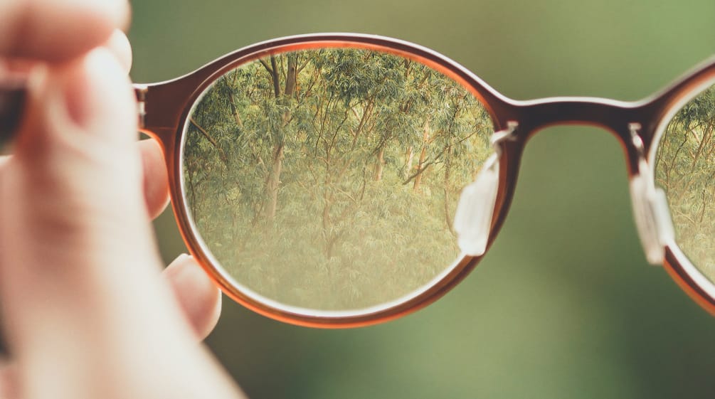 Une paire de lunettes devant un fond flou et dans laquelle la forêt apparaît plus nettement dans les verres