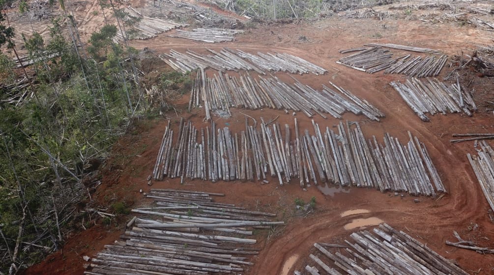 Huile de palme La Petite Damba