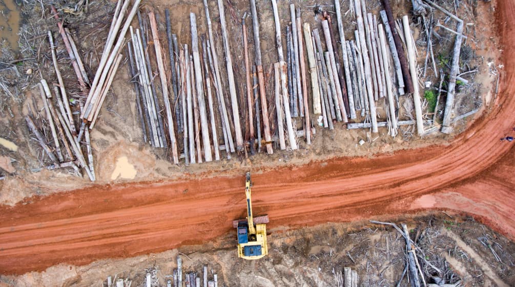 Vue aérienne : un excavateur du groupe Korindo en train de défricher la forêt pour ses plantations d’huile de palme dans la province indonésienne de Papouasie