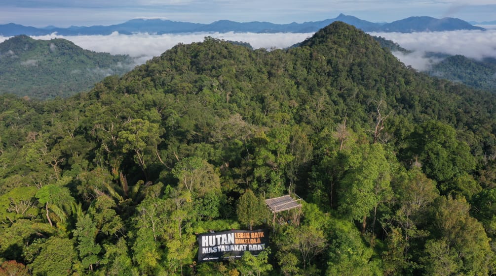 Vue en plongée sur les forêts de Kinipan au milieu desquelles on peut voir une bannière de notre partenaire Save Our Borneo