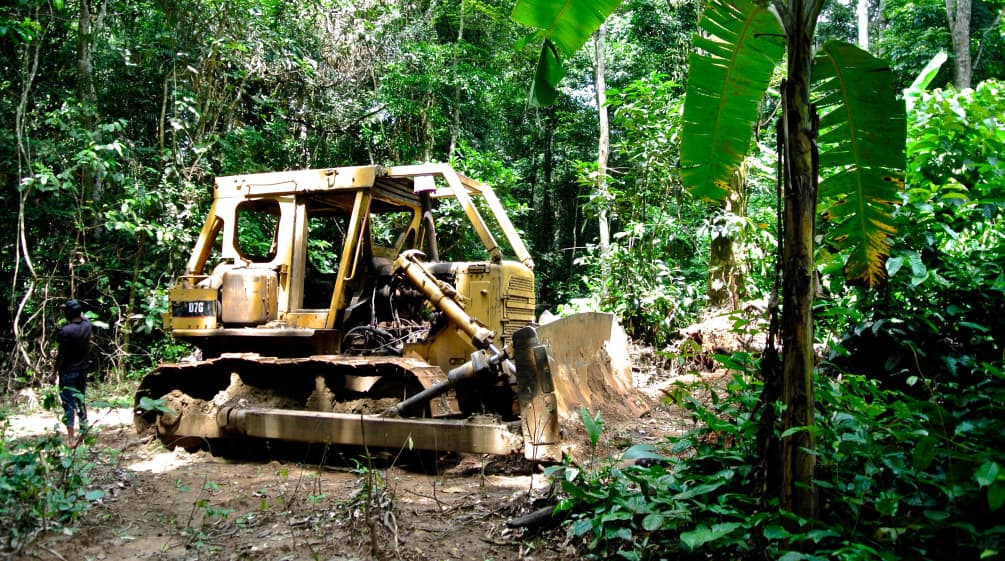 Bulldozer dans le parc national de Cross River