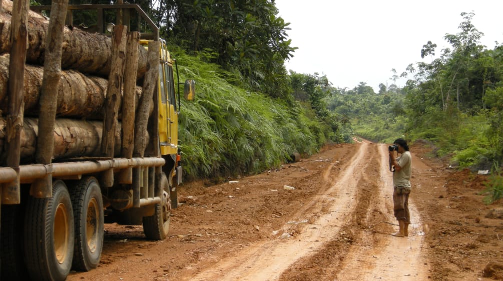 Une personne prend une photo d'un camion chargé de troncs d'arbres sur une route en terre dans la forêt tropicale
