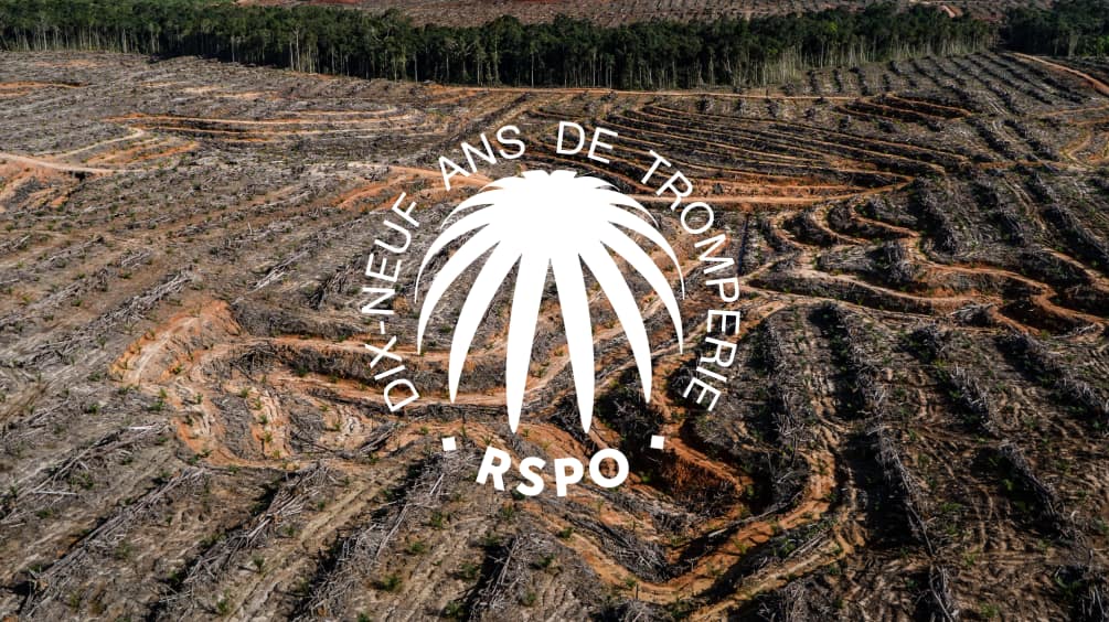 Collage : label RSPO dans lequel est inscrit "dix-neuf ans de tromperie" avec pour arrière-plan une zone de forêt tropicale déboisée.