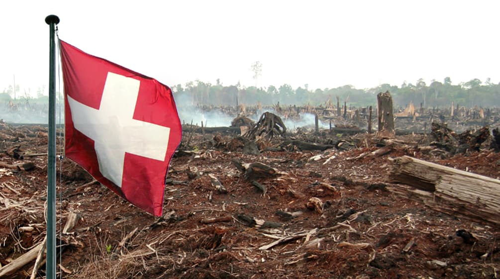 Drapeau suisse planté au milieu des restes d’une forêt incendiée (photomontage)