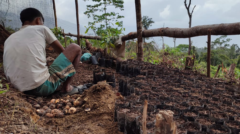 Un homme assis cultive des plants dans une pépinière