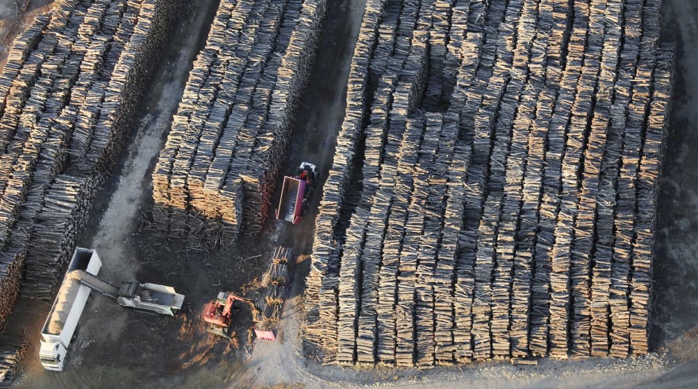 Tas de bois dans le sud de la France pour l'approvisionnement de la centrale E.On / Uniper à Gardanne
