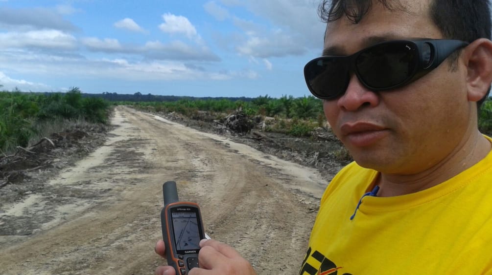 Matek Geram avec un GPS sur une plantation de palmiers à huile