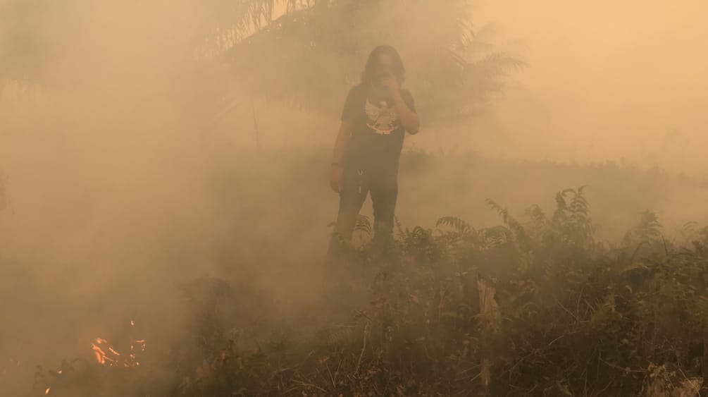 Feux déclenchés dans le village de Puding, district de Muaro Jambi, Sumatra, septembre 2019