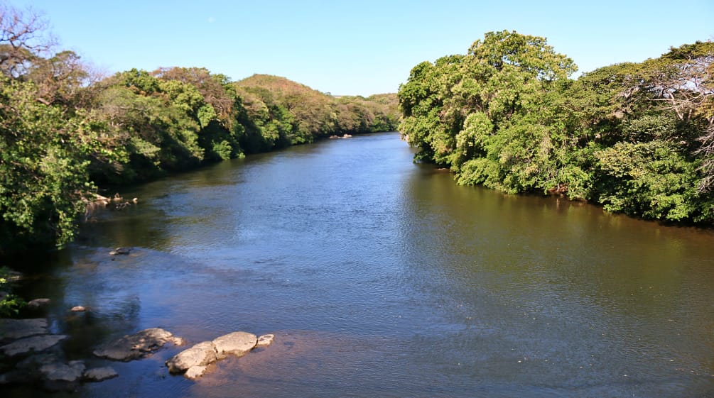 Le fleuve Sainte-Marie, avec des arbres sur ses rivages