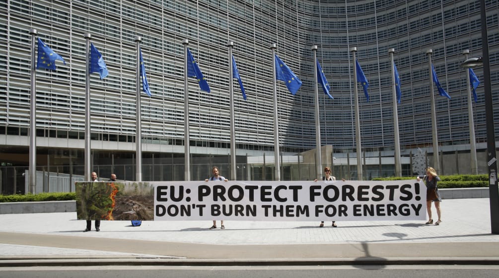 Des défenseurs de l’environnement déploient une banderole devant le siège de la Commission européenne à Bruxelles : « UE : protégez les forêts ! Ne les brûlez pas pour la production d’énergie »