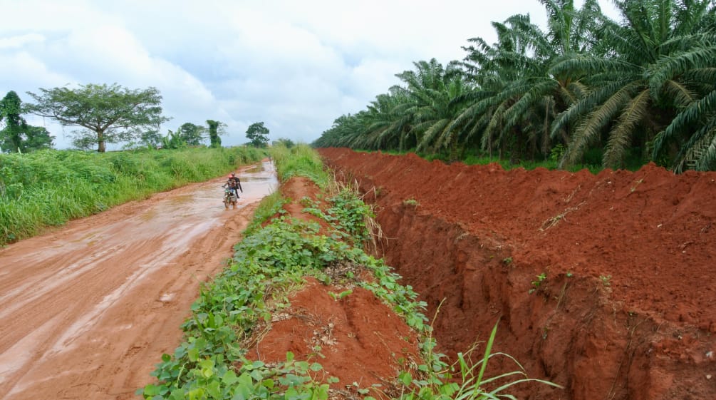 Tranchée autour de la plantation de palmiers à huile de l’entreprise Okomu Oil Palm Company (OOPC) au Nigeria