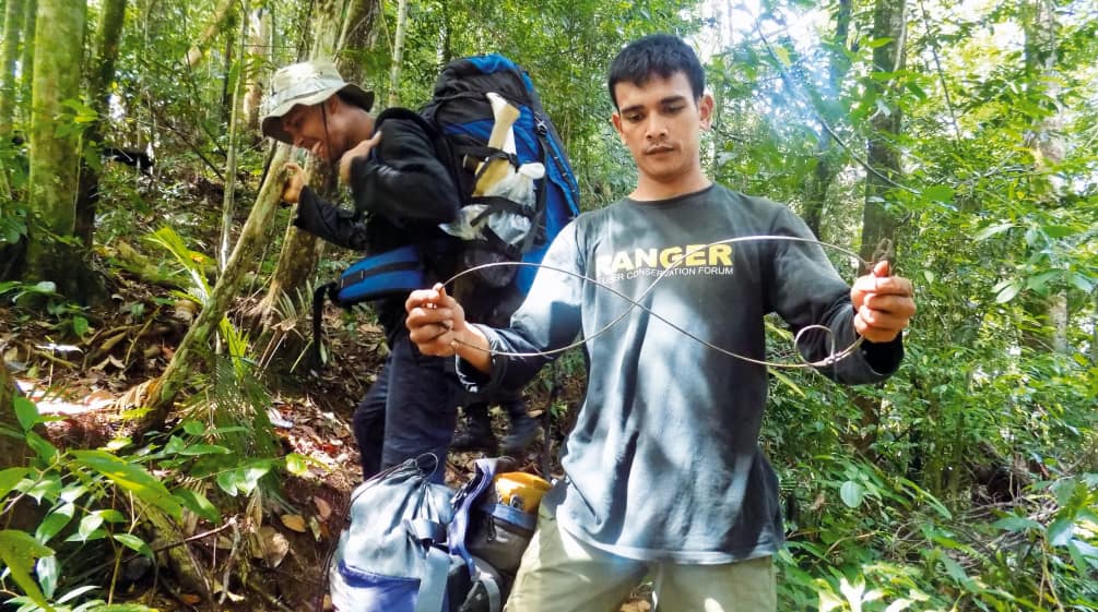 Des rangers désamorcent un piège à nœud coulant