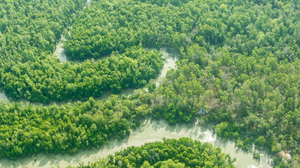 Vue aérienne du fleuve Digul serpentant la forêt tropicales dans le sud de la Papouasie