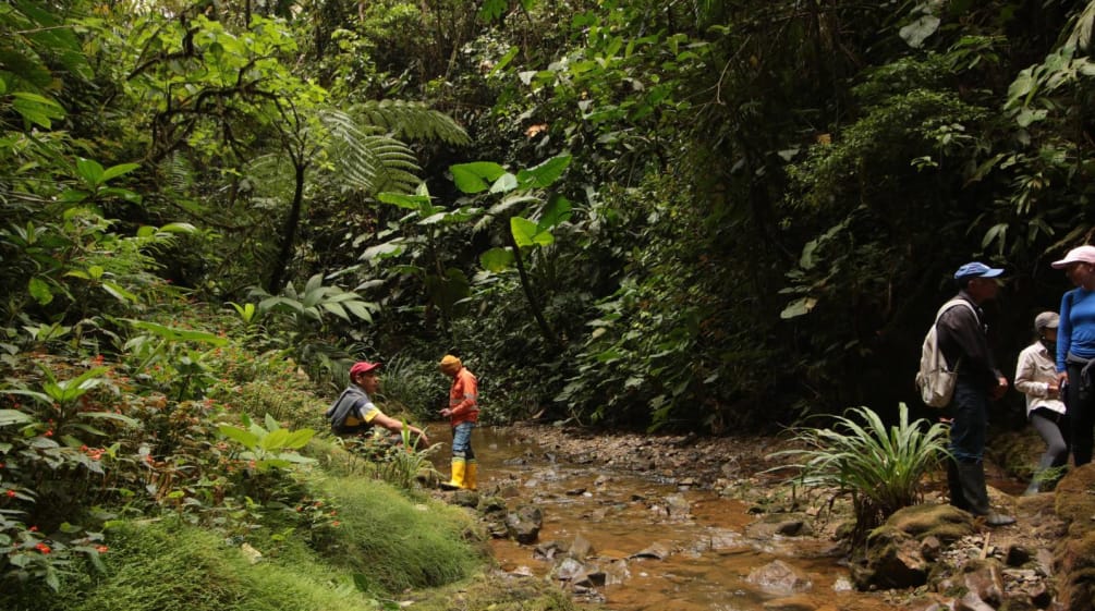 Personnes au bord d’un ruisseau dans la forêt tropicale de nuages