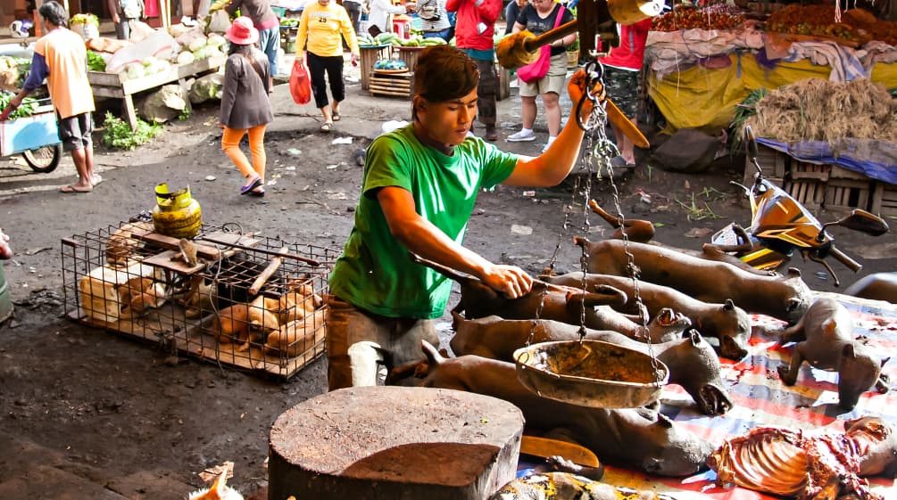 Marché d'animaux sauvages