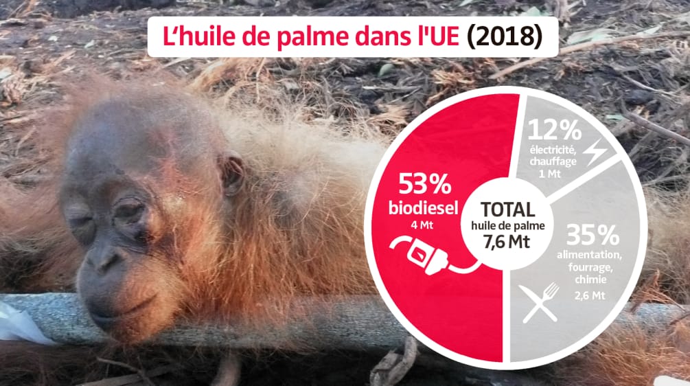 Photomontage - Diagramme de la consommation d’huile de palme dans l’Union européenne (UE) en 2018