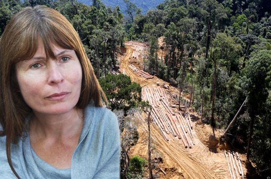 Photomontage : la rédactrice en chef du site Sarawak Report avec pour arrière plan une photo aérienne de déforestation
