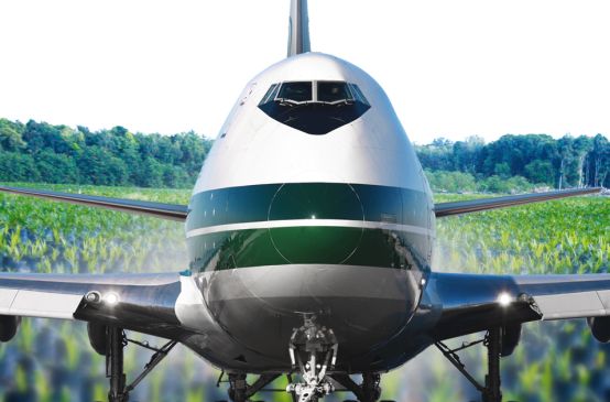 Avion au-dessus d'une monoculture d'huile de palme