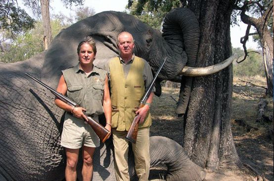 Le monarque espagnol et ancien président d'honneur du WWF Juan Carlos pose avec un fusil devant l'éléphant qu'il vient d'abattre au Botswana