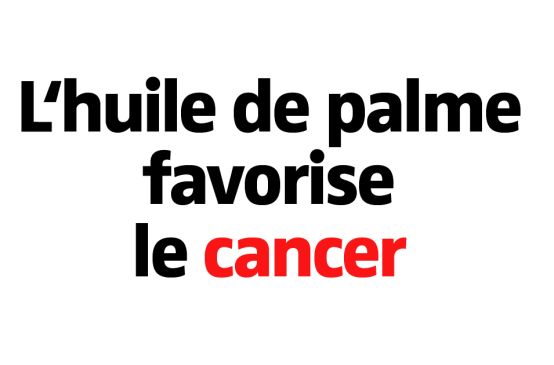 L'huile de palme favorise le cancer