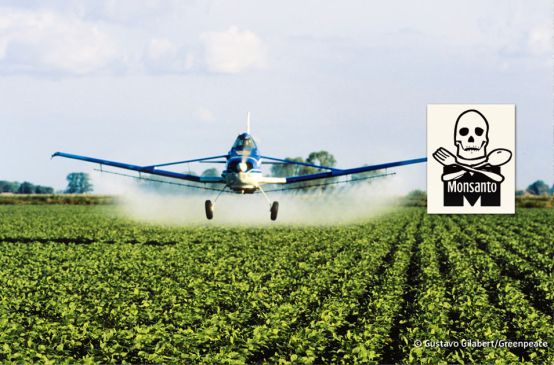 Un avion pulvérise des pesticides sur une plantation de soja
