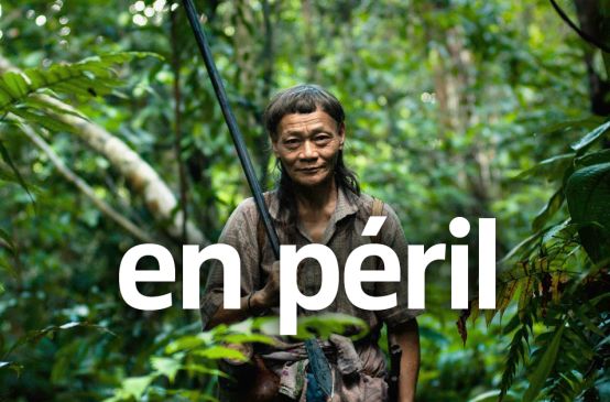 Un individu du peuple Penan dans la forêt tropicale à Bornéo. Texte au premier plan : EN PÉRIL