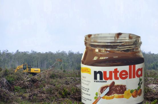 Photomontage avec un pot de Nutella en premier plan sur fond de forêt pluviale détruite par des bulldozers