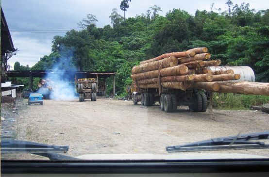 Un camion avec un chargement de troncs d'arbres coupés roule sur une route en terre au milieu de la forêt