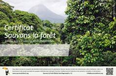 Forêts tropicales