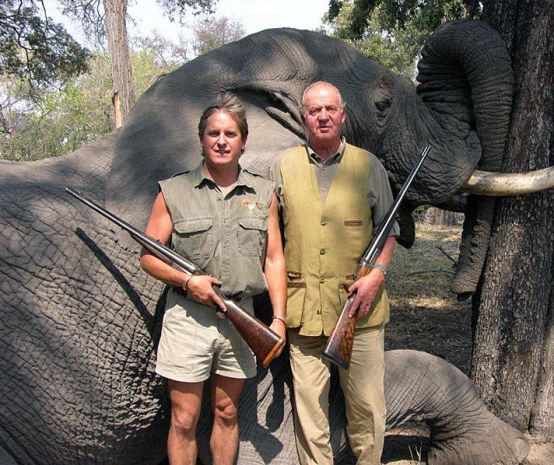 Le monarque espagnol et ancien président d'honneur du WWF Juan Carlos pose avec un fusil devant l'éléphant qu'il vient d'abattre au Botswana