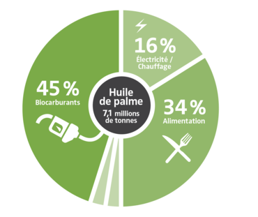 Importations et destinations de l'huile de palme dans l'Union européenne